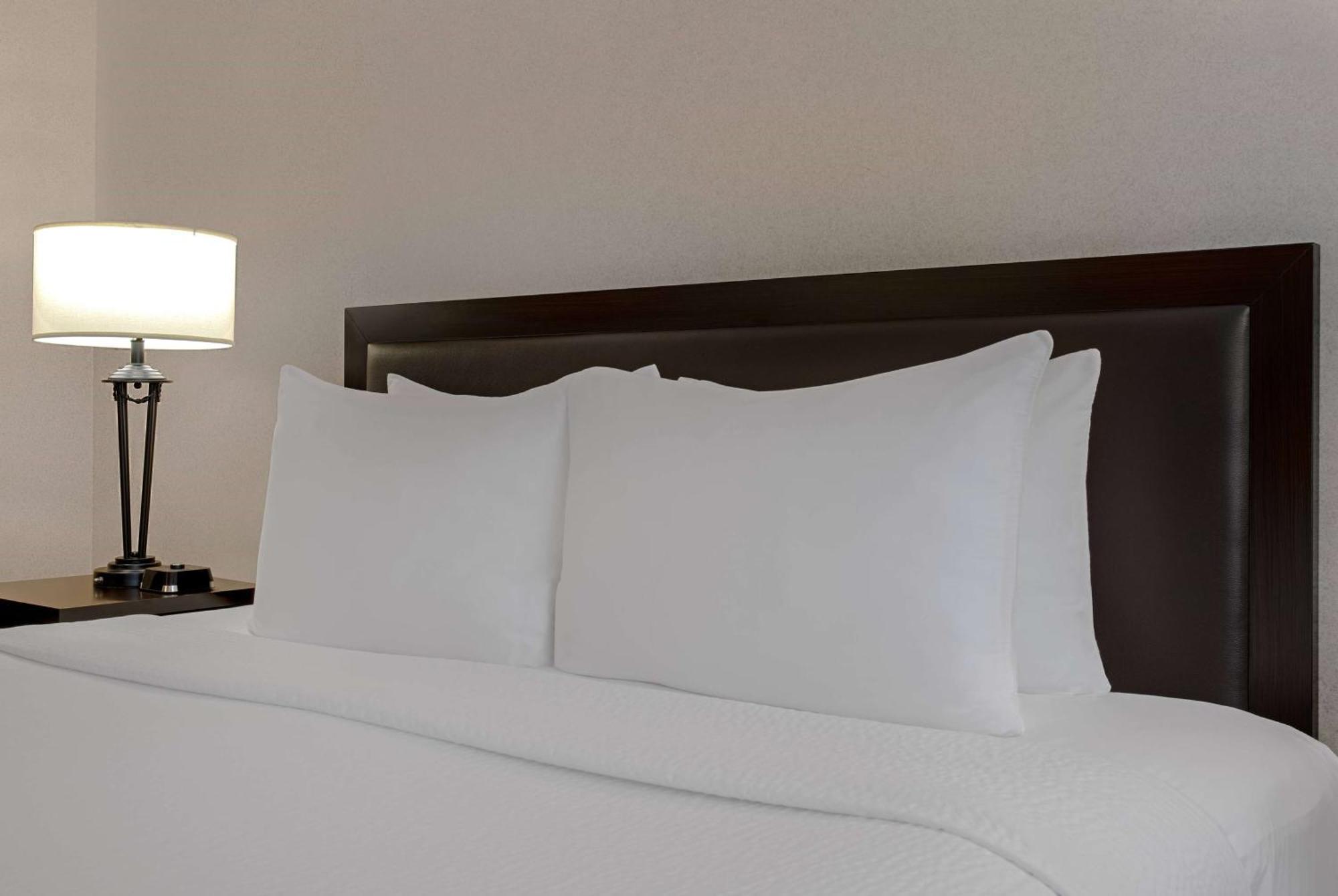 Ramada Plaza By Wyndham Calgary Downtown Hotel Ngoại thất bức ảnh